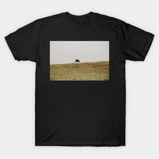 cows grazing a field T-Shirt by LindsayVaughn